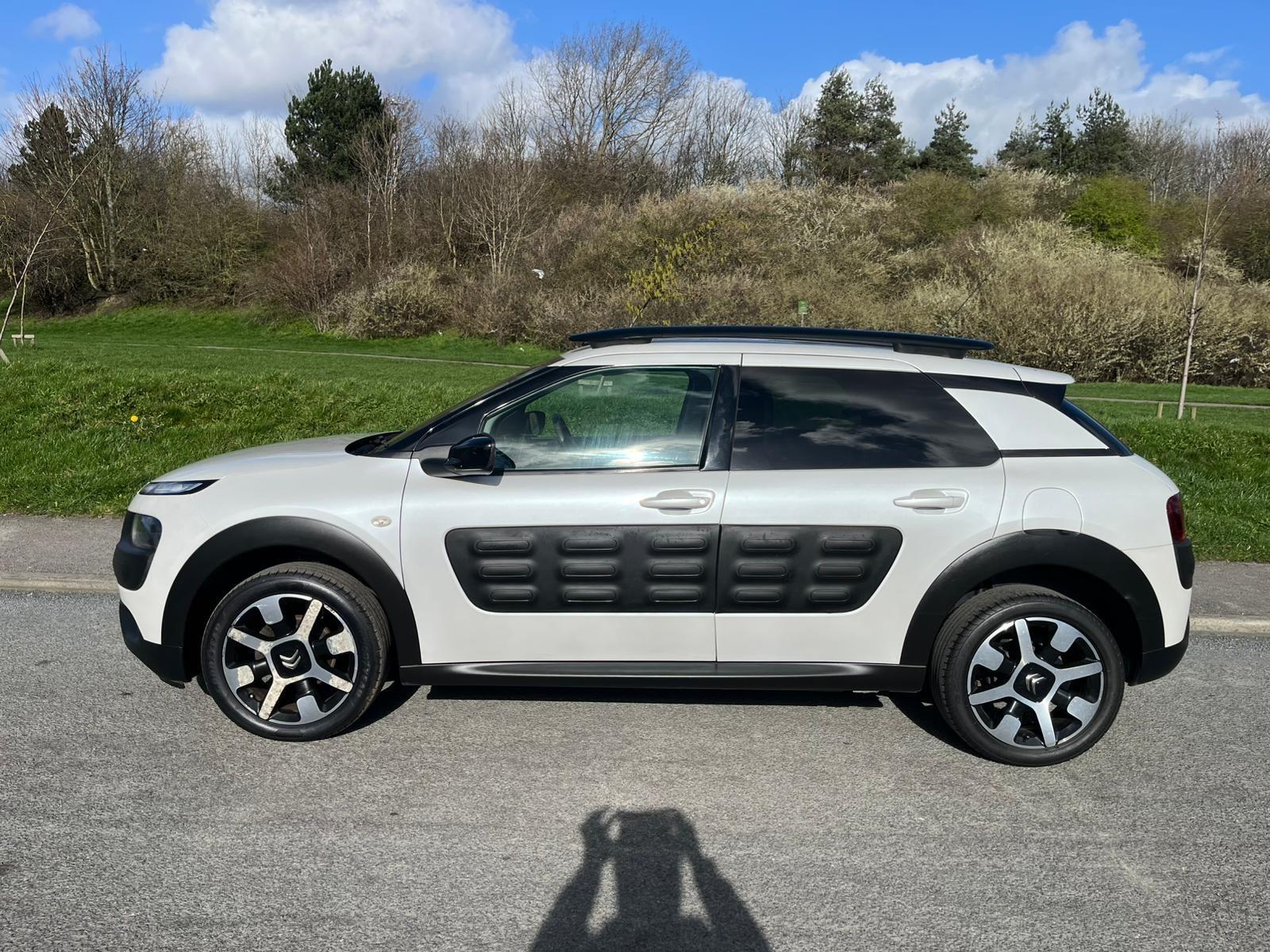 Citroen C4 Cactus - Image 13
