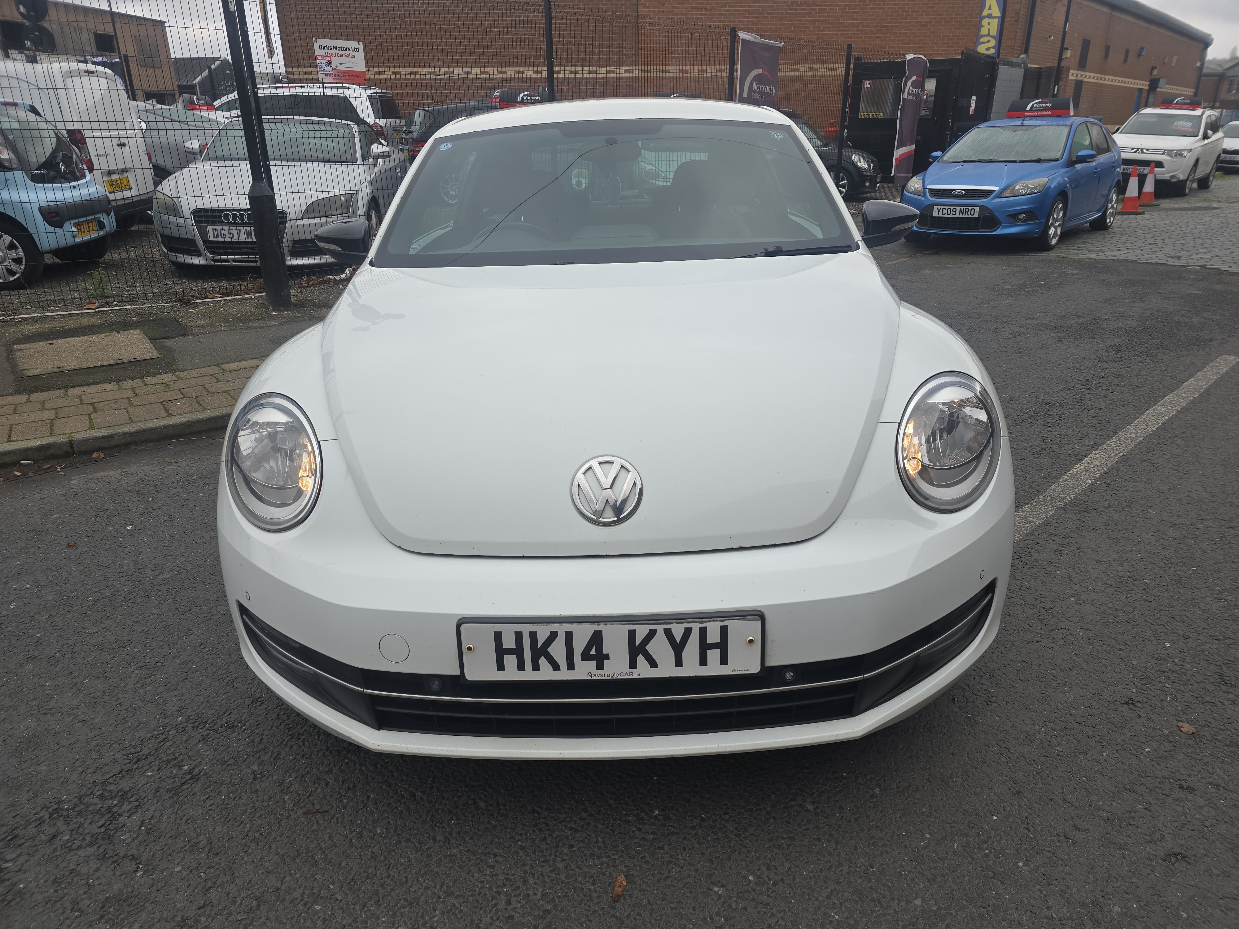 Volkswagen Beetle - Image 2