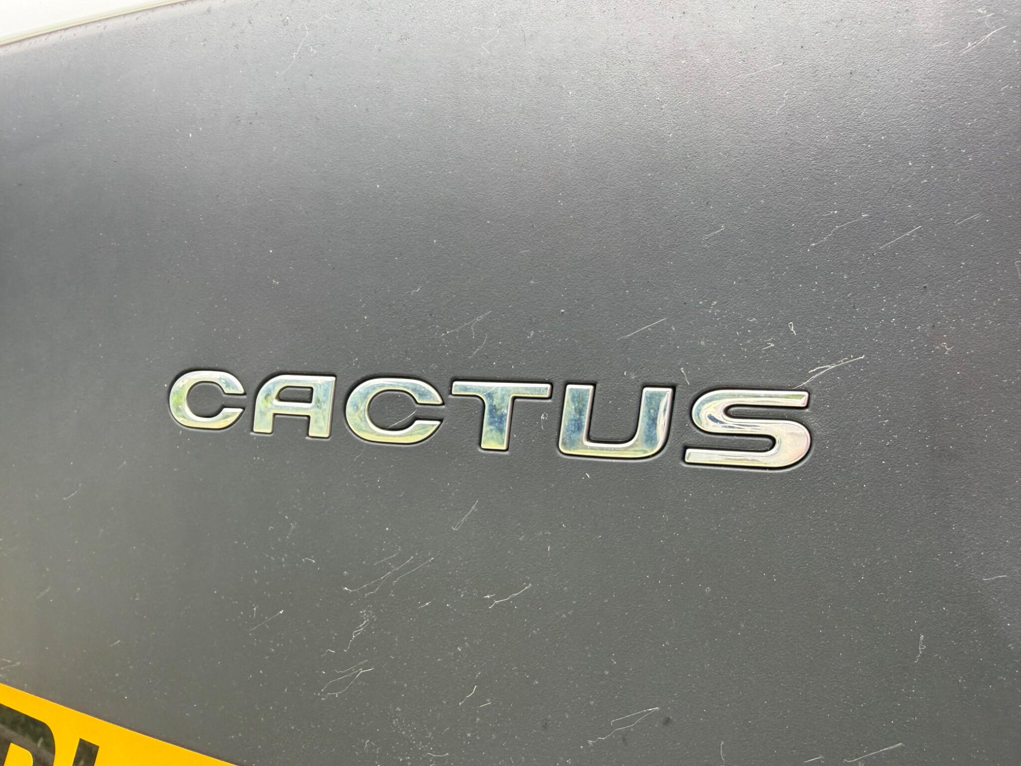 Citroen C4 Cactus - Image 20