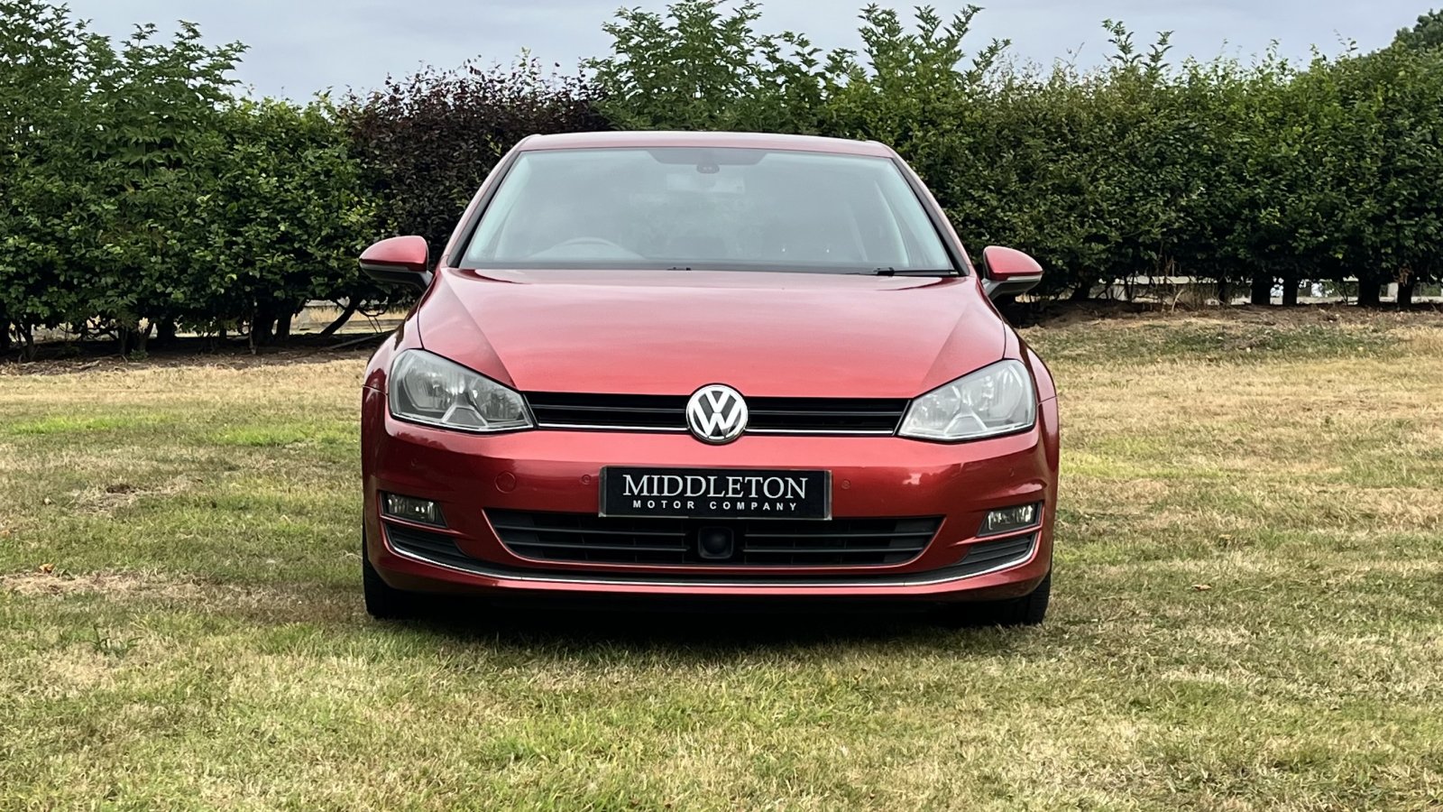 Volkswagen Golf - Image 3
