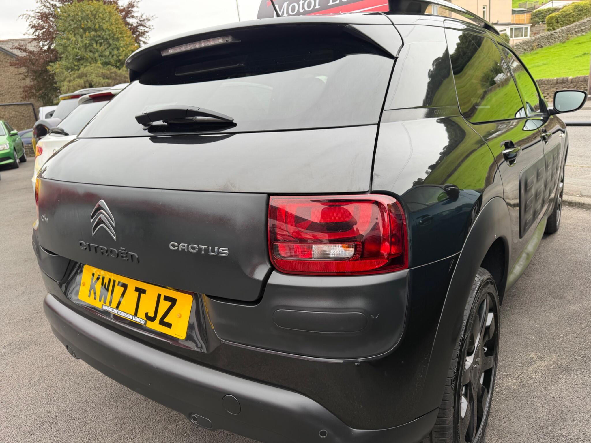 Citroen C4 Cactus - Image 13