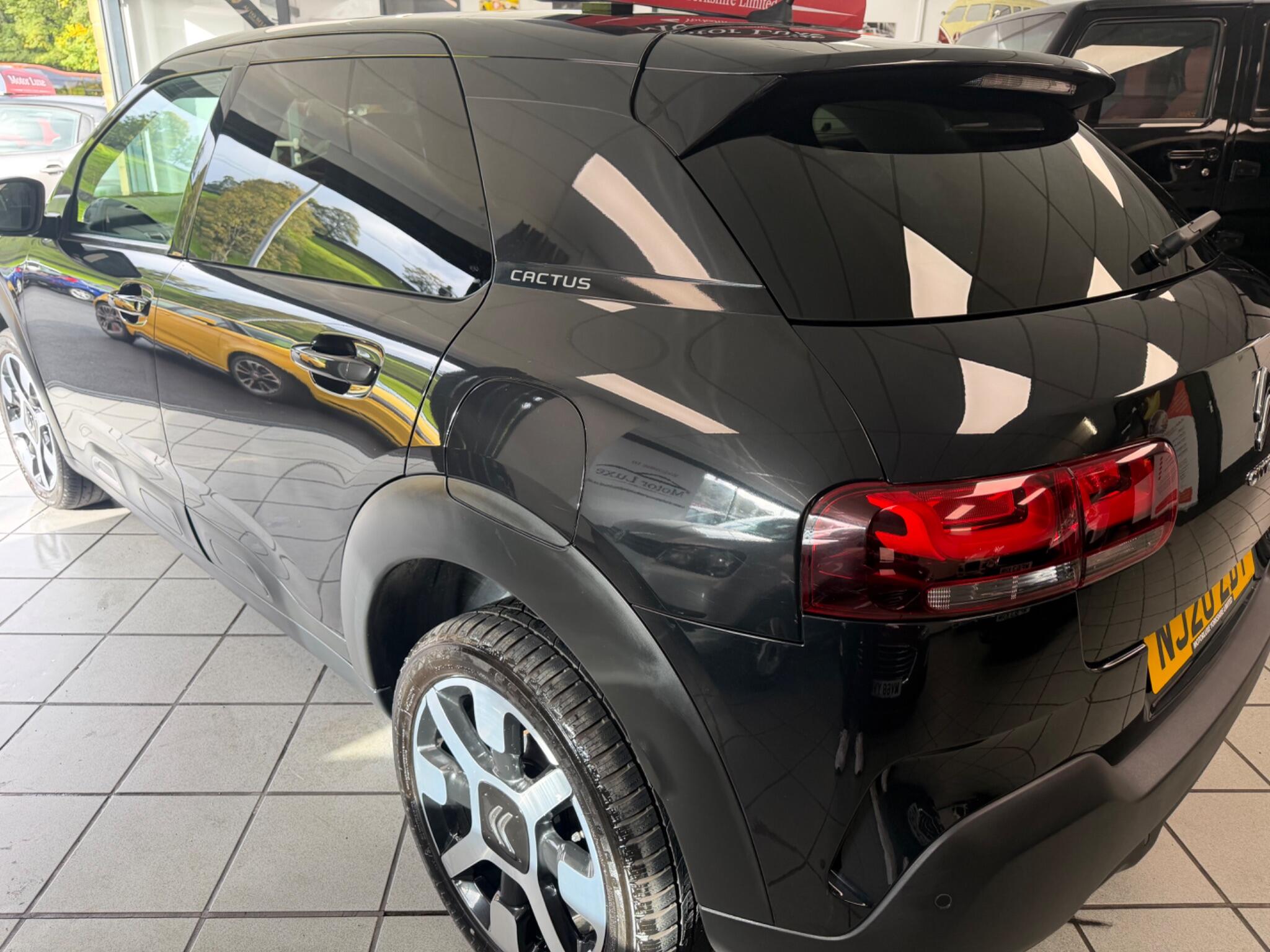 Citroen C4 Cactus - Image 10