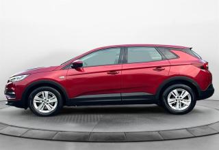 Vauxhall Grandland X - Image 7