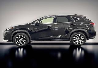 Lexus NX - Image 37
