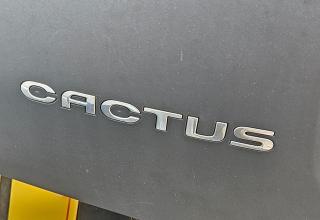 Citroen C4 Cactus - Image 10