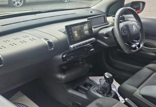 Citroen C4 Cactus - Image 12