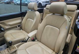 Volkswagen Beetle - Image 12
