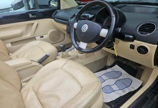 Volkswagen Beetle - Image 15